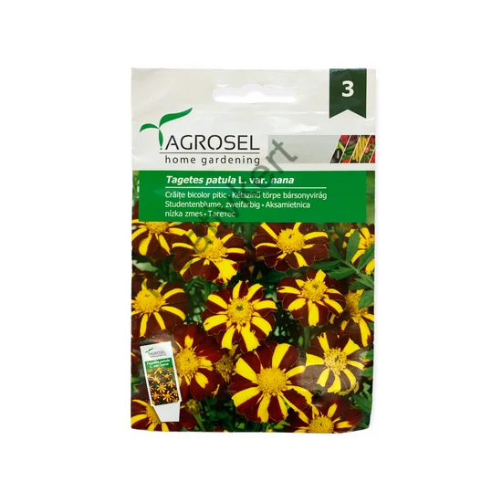 Bársonyvirág (Büdöske) - Kétszínű törpe 1 g