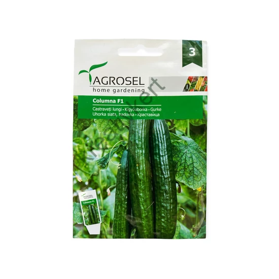 Kígyóuborka - Columna F1 15 szem