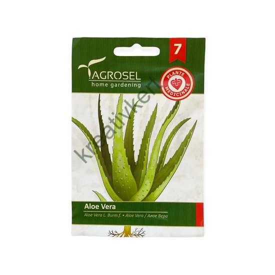 Aloe Vera 8 szem