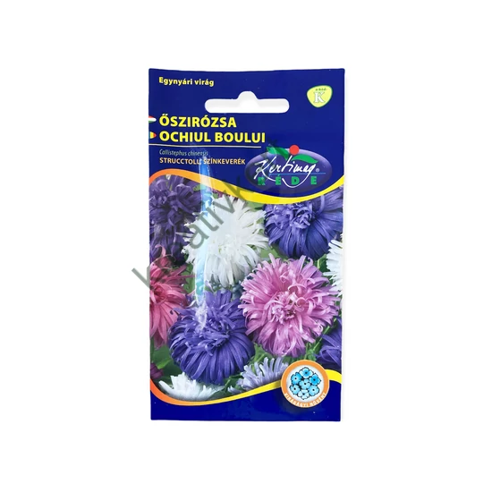 Őszirózsa - Strucctoll színkeverék 1 g