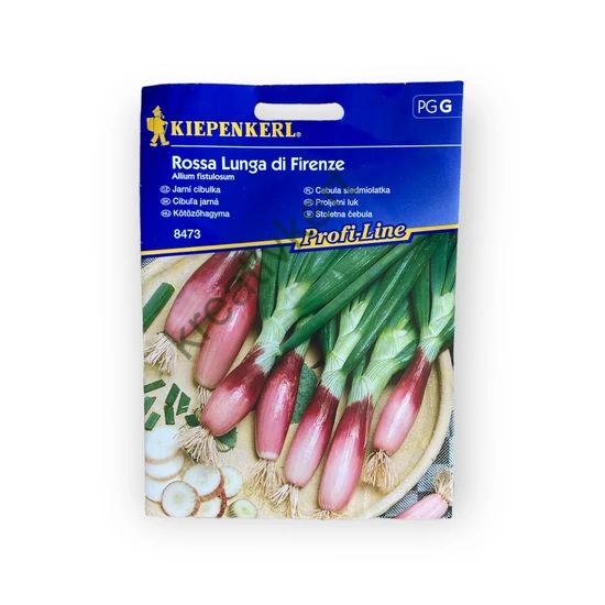 Kötözőhagyma - Rossa Lunga di Firenze
