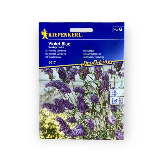 Nyáriorgona - Violet Blue (Buddleja davidii)