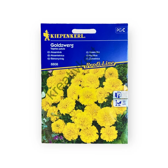 Bársonyvirág - Kisvirágú citromsárga (Tagetes patula)