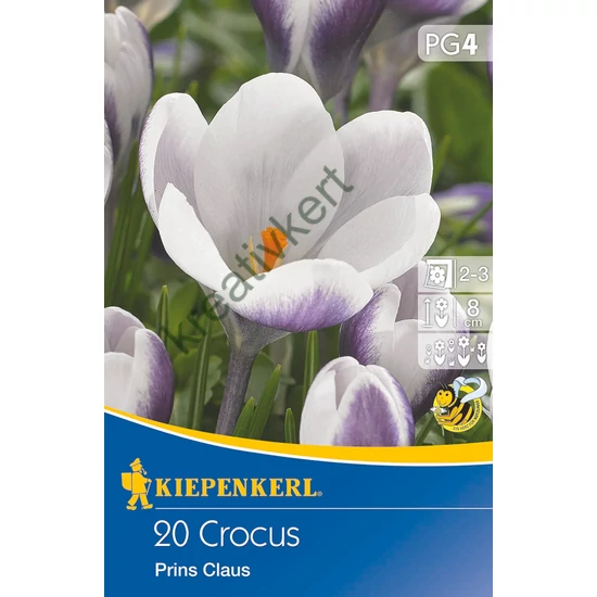 Krókusz - Prins Claus 20 db (Ősz)