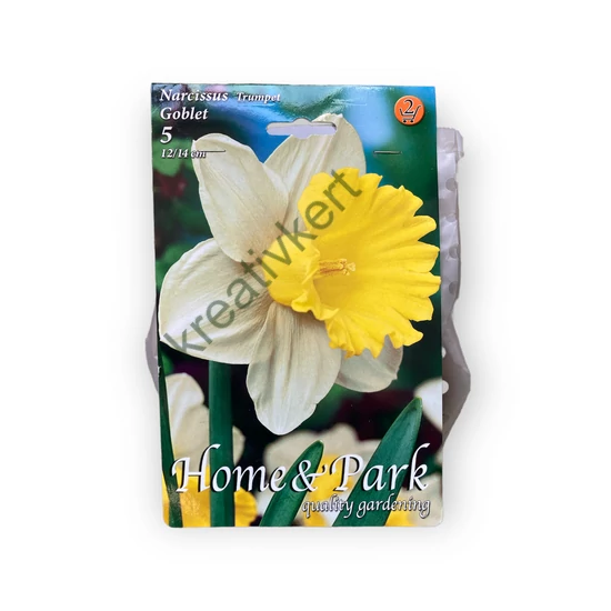 Nárcisz - Goblet 5 db (Ősz)