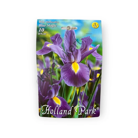 Írisz - Blue Magic 10 db (Ősz)
