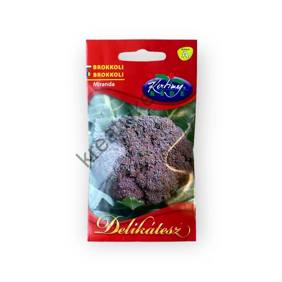 Brokkoli - Miranda (lila) 2 g