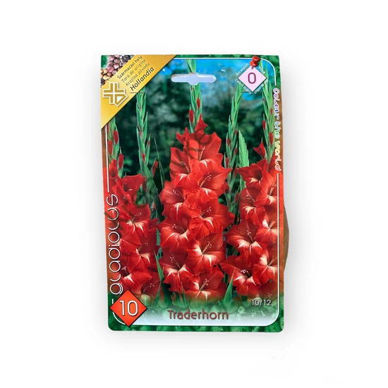 Virághagyma - Kardvirág Traderhorn 10 db (Tavasz)