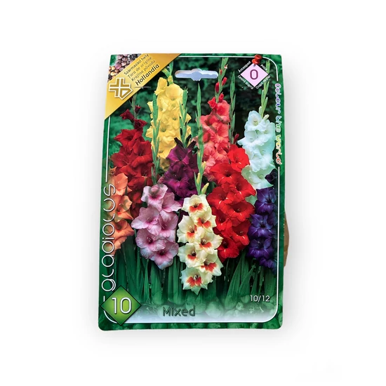 Virághagyma - Kardvirág Mix 10 db (Tavasz)