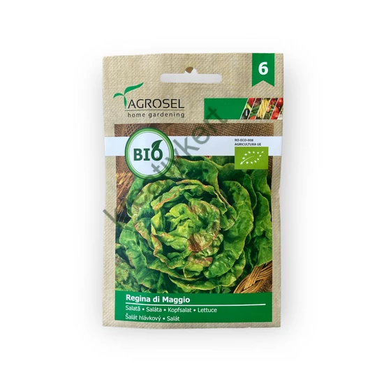 BIO Saláta - Regina di Maggio 2,5 g