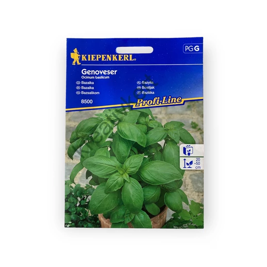 Bazsalikom - Genoveser