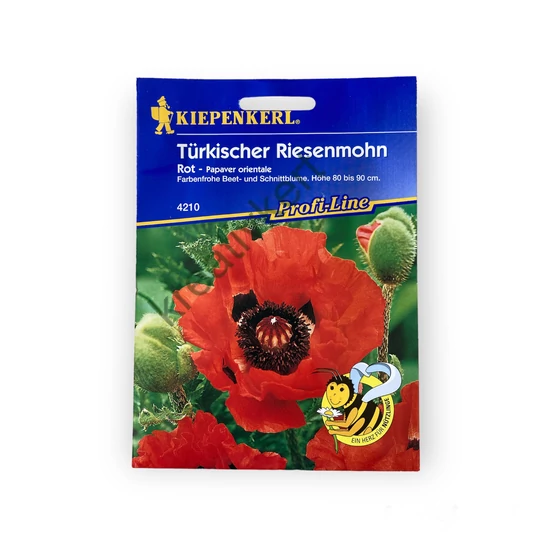 Török óriáspipacs (Papaver orientale)