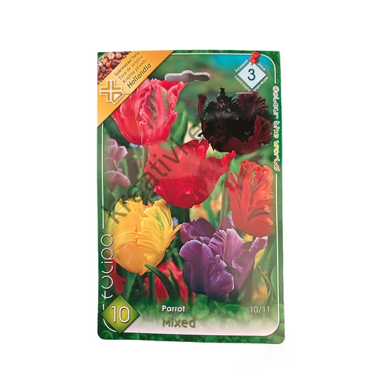 Papagáj tulipán - Mix 10 db (Ősz)