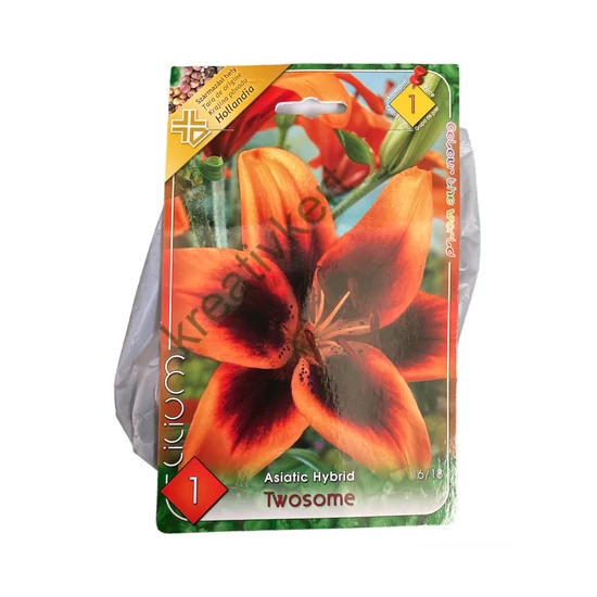 Liliom - Twosome 1 db (Ősz)