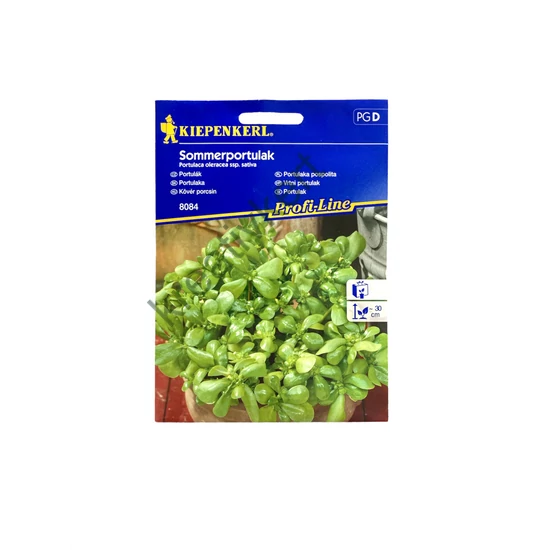 Kövér porcsin vetőmag (Kiepenkerl)