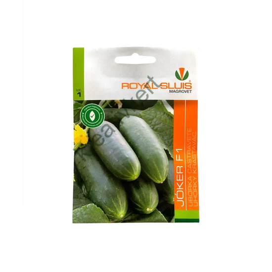 Uborka - Joker F1 1 g (Royal Sluis)