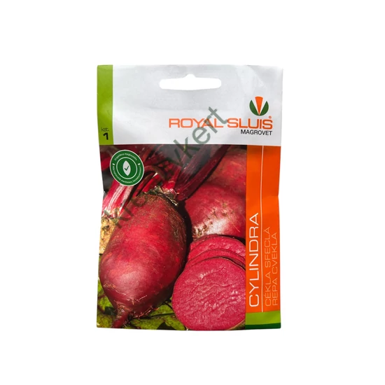 Cékla - Cylindra 4 g