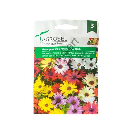 Afrikai margaréta - színkeverék 0,5 g