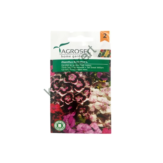 Törökszegfű - magas színkeverék 1 g