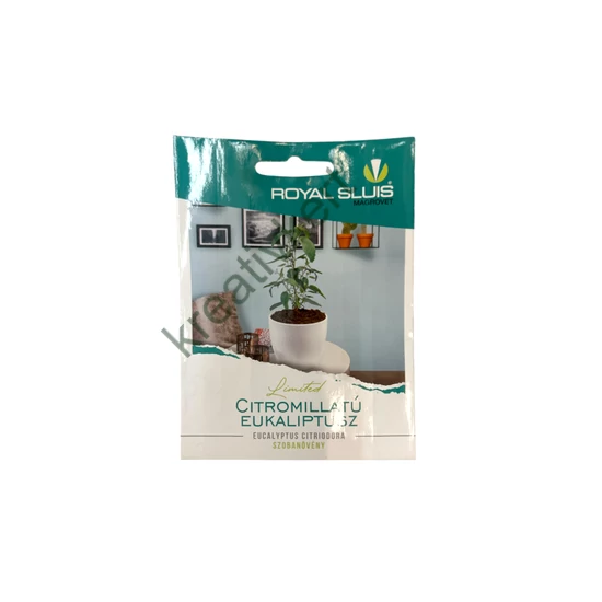 Szobanövény - Citromillatú eukaliptusz 10 szem