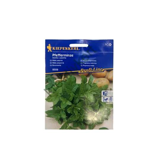 Borsmenta - Mentha piperita (60 növényre)